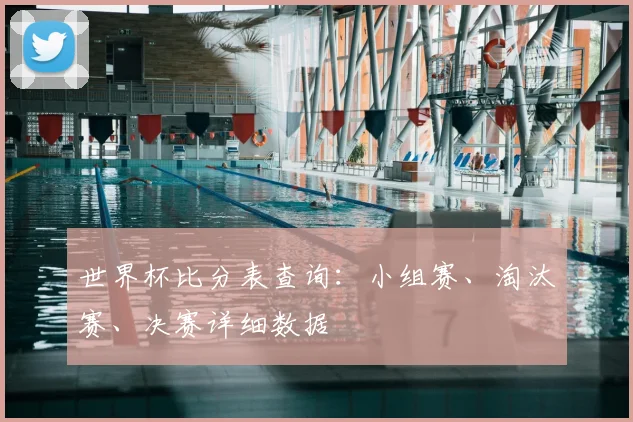 世界杯比分表查询:小组赛、淘汰赛、决赛详细数据