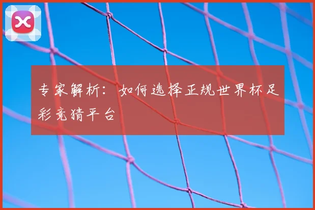 专家解析:如何选择正规世界杯足彩竞猜平台