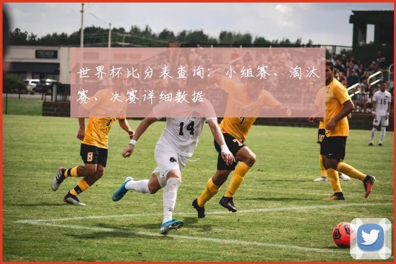 世界杯比分表查询：小组赛、淘汰赛、决赛详细数据