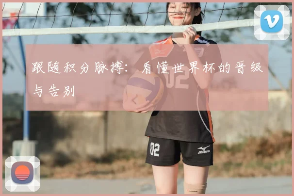 跟随积分脉搏：看懂世界杯的晋级与告别