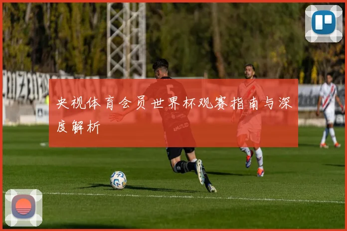 央视体育会员世界杯观赛指南与深度解析